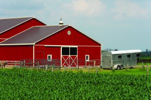 BRI Metal Buildings - Agricultural Building Example
