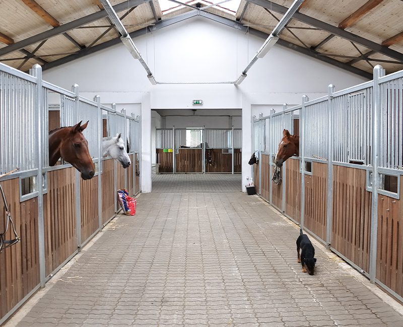 Horse Stables and Agricultural Metal Buildings